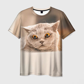 Мужская футболка 3D с принтом Британец 7 , 100% полиэфир | прямой крой, круглый вырез горловины, длина до линии бедер | Тематика изображения на принте: британец | британская | британцы | кот | котенок | котик | котэ | кошка