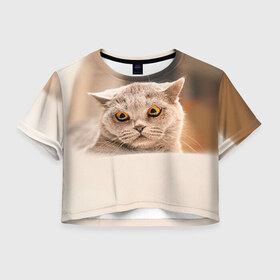Женская футболка 3D укороченная с принтом Британец 7 , 100% полиэстер | круглая горловина, длина футболки до линии талии, рукава с отворотами | британец | британская | британцы | кот | котенок | котик | котэ | кошка