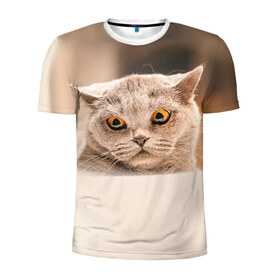 Мужская футболка 3D спортивная с принтом Британец 7 , 100% полиэстер с улучшенными характеристиками | приталенный силуэт, круглая горловина, широкие плечи, сужается к линии бедра | Тематика изображения на принте: британец | британская | британцы | кот | котенок | котик | котэ | кошка