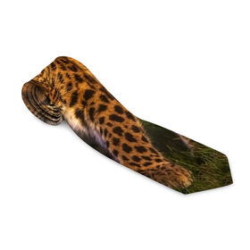 Галстук 3D с принтом Дальневосточный леопард , 100% полиэстер | Длина 148 см; Плотность 150-180 г/м2 | дикая кошка | леопард | природа | хищник