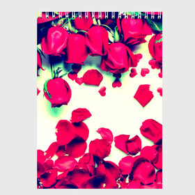 Скетчбук с принтом Розовые розы , 100% бумага
 | 48 листов, плотность листов — 100 г/м2, плотность картонной обложки — 250 г/м2. Листы скреплены сверху удобной пружинной спиралью | лепестки | цветы