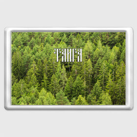 Магнит 45*70 с принтом Тайга , Пластик | Размер: 78*52 мм; Размер печати: 70*45 | Тематика изображения на принте: ветви | ветки | деревья | лес | охота | охотник | природа | туризм | турист
