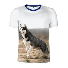 Мужская футболка 3D спортивная с принтом Хаски , 100% полиэстер с улучшенными характеристиками | приталенный силуэт, круглая горловина, широкие плечи, сужается к линии бедра | dog | husky | siberia | север | сибирь | собака | хаски