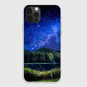 Чехол для iPhone 12 Pro с принтом Дикая природа , силикон | область печати: задняя сторона чехла, без боковых панелей | горы | деревья | море | пейзаж