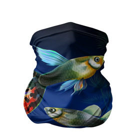 Бандана-труба 3D с принтом Аквариумные рыбки , 100% полиэстер, ткань с особыми свойствами — Activecool | плотность 150‒180 г/м2; хорошо тянется, но сохраняет форму | аквариум | вода | водоросли | природа | рыба | рыбка | туризм