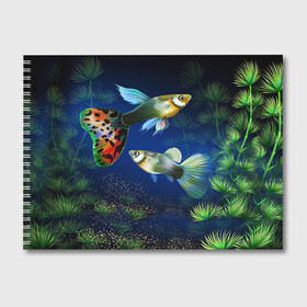 Альбом для рисования с принтом Аквариумные рыбки , 100% бумага
 | матовая бумага, плотность 200 мг. | Тематика изображения на принте: аквариум | вода | водоросли | природа | рыба | рыбка | туризм