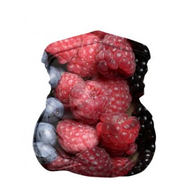 Бандана-труба 3D с принтом Сочные ягоды , 100% полиэстер, ткань с особыми свойствами — Activecool | плотность 150‒180 г/м2; хорошо тянется, но сохраняет форму | богатый урожай | брусника | ерга | земляника | клубника | клюква | малина | морожка | облепиха | рябина | смородина | сок | сочные плоды | фрукты | черника | черноплодка | шиповник | ягоды