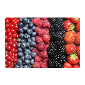 Магнитный плакат 3Х2 с принтом Сочные ягоды , Полимерный материал с магнитным слоем | 6 деталей размером 9*9 см | богатый урожай | брусника | ерга | земляника | клубника | клюква | малина | морожка | облепиха | рябина | смородина | сок | сочные плоды | фрукты | черника | черноплодка | шиповник | ягоды