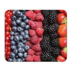 Коврик прямоугольный с принтом Сочные ягоды , натуральный каучук | размер 230 х 185 мм; запечатка лицевой стороны | богатый урожай | брусника | ерга | земляника | клубника | клюква | малина | морожка | облепиха | рябина | смородина | сок | сочные плоды | фрукты | черника | черноплодка | шиповник | ягоды