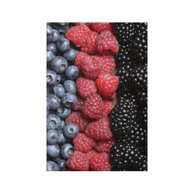 Обложка для паспорта матовая кожа с принтом Сочные ягоды , натуральная матовая кожа | размер 19,3 х 13,7 см; прозрачные пластиковые крепления | богатый урожай | брусника | ерга | земляника | клубника | клюква | малина | морожка | облепиха | рябина | смородина | сок | сочные плоды | фрукты | черника | черноплодка | шиповник | ягоды