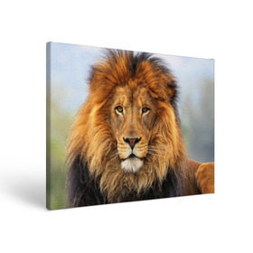 Холст прямоугольный с принтом Красавец лев , 100% ПВХ |  | Тематика изображения на принте: lion | грива | дикая кошка | добыча | животное | зверь | клыки | когти | король джунглей | лев | мясо | хищник | царь зверей