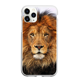 Чехол для iPhone 11 Pro Max матовый с принтом Красавец лев , Силикон |  | Тематика изображения на принте: lion | грива | дикая кошка | добыча | животное | зверь | клыки | когти | король джунглей | лев | мясо | хищник | царь зверей