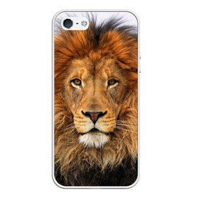 Чехол для iPhone 5/5S матовый с принтом Красавец лев , Силикон | Область печати: задняя сторона чехла, без боковых панелей | lion | грива | дикая кошка | добыча | животное | зверь | клыки | когти | король джунглей | лев | мясо | хищник | царь зверей