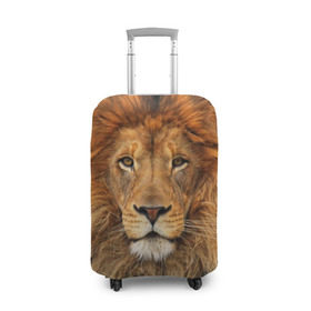 Чехол для чемодана 3D с принтом Красавец лев , 86% полиэфир, 14% спандекс | двустороннее нанесение принта, прорези для ручек и колес | lion | грива | дикая кошка | добыча | животное | зверь | клыки | когти | король джунглей | лев | мясо | хищник | царь зверей