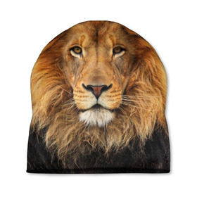 Шапка 3D с принтом Красавец лев , 100% полиэстер | универсальный размер, печать по всей поверхности изделия | lion | грива | дикая кошка | добыча | животное | зверь | клыки | когти | король джунглей | лев | мясо | хищник | царь зверей