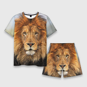 Мужской костюм с шортами 3D с принтом Красавец лев ,  |  | lion | грива | дикая кошка | добыча | животное | зверь | клыки | когти | король джунглей | лев | мясо | хищник | царь зверей