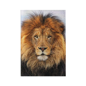 Обложка для паспорта матовая кожа с принтом Красавец лев , натуральная матовая кожа | размер 19,3 х 13,7 см; прозрачные пластиковые крепления | Тематика изображения на принте: lion | грива | дикая кошка | добыча | животное | зверь | клыки | когти | король джунглей | лев | мясо | хищник | царь зверей