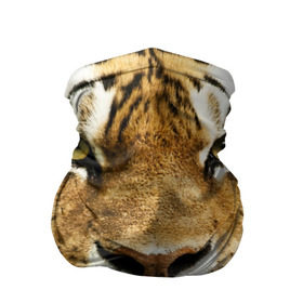Бандана-труба 3D с принтом Амурский тигр , 100% полиэстер, ткань с особыми свойствами — Activecool | плотность 150‒180 г/м2; хорошо тянется, но сохраняет форму | амурский | дикая кошка | добыча | животное | зверь | клыки | когти | мясо | тигр | уссурийский | хищник