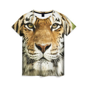 Женская футболка 3D с принтом Амурский тигр , 100% полиэфир ( синтетическое хлопкоподобное полотно) | прямой крой, круглый вырез горловины, длина до линии бедер | амурский | дикая кошка | добыча | животное | зверь | клыки | когти | мясо | тигр | уссурийский | хищник