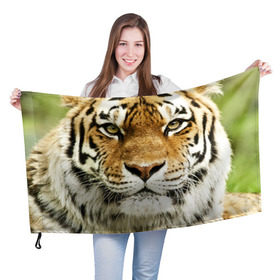 Флаг 3D с принтом Амурский тигр , 100% полиэстер | плотность ткани — 95 г/м2, размер — 67 х 109 см. Принт наносится с одной стороны | Тематика изображения на принте: амурский | дикая кошка | добыча | животное | зверь | клыки | когти | мясо | тигр | уссурийский | хищник