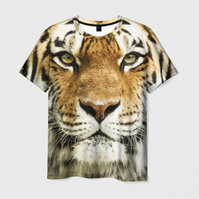 Мужская футболка 3D с принтом Амурский тигр , 100% полиэфир | прямой крой, круглый вырез горловины, длина до линии бедер | амурский | дикая кошка | добыча | животное | зверь | клыки | когти | мясо | тигр | уссурийский | хищник