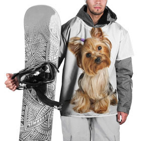 Накидка на куртку 3D с принтом Красотка , 100% полиэстер |  | fashion | животное | красавица | лучший друг | модница | няша | причёска | собака | собачка | щенок | щеночек