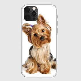Чехол для iPhone 12 Pro Max с принтом Красотка , Силикон |  | Тематика изображения на принте: fashion | животное | красавица | лучший друг | модница | няша | причёска | собака | собачка | щенок | щеночек