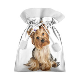 Подарочный 3D мешок с принтом Красотка , 100% полиэстер | Размер: 29*39 см | fashion | животное | красавица | лучший друг | модница | няша | причёска | собака | собачка | щенок | щеночек