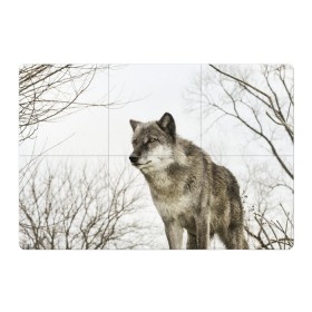 Магнитный плакат 3Х2 с принтом Волк во весь рост , Полимерный материал с магнитным слоем | 6 деталей размером 9*9 см | волк | хищник