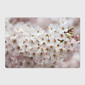 Магнитный плакат 3Х2 с принтом Весеннее цветение , Полимерный материал с магнитным слоем | 6 деталей размером 9*9 см | белый | весна | лепестки | прикольные картинки | цветочки | цветы