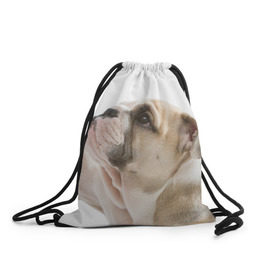 Рюкзак-мешок 3D с принтом Бульдог , 100% полиэстер | плотность ткани — 200 г/м2, размер — 35 х 45 см; лямки — толстые шнурки, застежка на шнуровке, без карманов и подкладки | бульдог | бульдоги | мопс | мопсы | песик | песики | собака | собаки