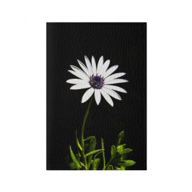 Обложка для паспорта матовая кожа с принтом Цветок счастья , натуральная матовая кожа | размер 19,3 х 13,7 см; прозрачные пластиковые крепления | лепестки | прикольные картинки | цветочки | цветы