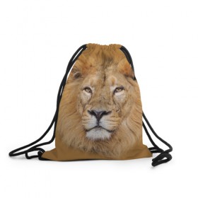Рюкзак-мешок 3D с принтом Лев , 100% полиэстер | плотность ткани — 200 г/м2, размер — 35 х 45 см; лямки — толстые шнурки, застежка на шнуровке, без карманов и подкладки | взгляд | животные | лев | природа | хищники
