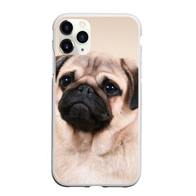 Чехол для iPhone 11 Pro матовый с принтом Мопс , Силикон |  | мопс | мопсы | песик | песики | собака | собаки
