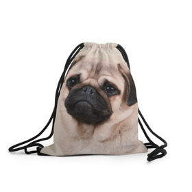 Рюкзак-мешок 3D с принтом Мопс , 100% полиэстер | плотность ткани — 200 г/м2, размер — 35 х 45 см; лямки — толстые шнурки, застежка на шнуровке, без карманов и подкладки | Тематика изображения на принте: мопс | мопсы | песик | песики | собака | собаки