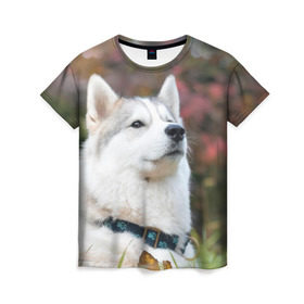 Женская футболка 3D с принтом Хаски , 100% полиэфир ( синтетическое хлопкоподобное полотно) | прямой крой, круглый вырез горловины, длина до линии бедер | лайка | маламут | песик | песики | собака | собаки | хаски