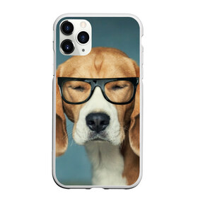 Чехол для iPhone 11 Pro матовый с принтом Бигль , Силикон |  | бигль | гончая | дворняжка | охотничья | песик | песики | собака | собаки