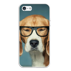 Чехол для iPhone 5/5S матовый с принтом Бигль , Силикон | Область печати: задняя сторона чехла, без боковых панелей | бигль | гончая | дворняжка | охотничья | песик | песики | собака | собаки