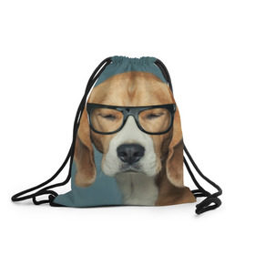Рюкзак-мешок 3D с принтом Бигль , 100% полиэстер | плотность ткани — 200 г/м2, размер — 35 х 45 см; лямки — толстые шнурки, застежка на шнуровке, без карманов и подкладки | бигль | гончая | дворняжка | охотничья | песик | песики | собака | собаки