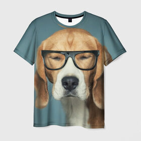 Мужская футболка 3D с принтом Бигль , 100% полиэфир | прямой крой, круглый вырез горловины, длина до линии бедер | бигль | гончая | дворняжка | охотничья | песик | песики | собака | собаки