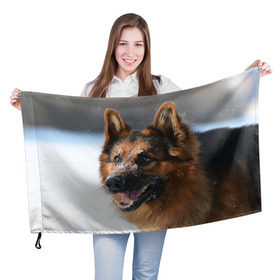 Флаг 3D с принтом Длинношерстная овчарка , 100% полиэстер | плотность ткани — 95 г/м2, размер — 67 х 109 см. Принт наносится с одной стороны | овчарка | овчарки | песик | песики | собака | собаки