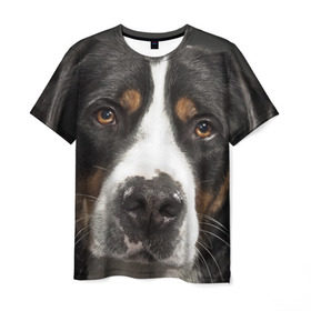 Мужская футболка 3D с принтом Зенненхунд , 100% полиэфир | прямой крой, круглый вырез горловины, длина до линии бедер | большая собака | зенненхунд | пес | песик | сенбернар | собака | собаки