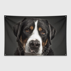 Флаг-баннер с принтом Зенненхунд , 100% полиэстер | размер 67 х 109 см, плотность ткани — 95 г/м2; по краям флага есть четыре люверса для крепления | большая собака | зенненхунд | пес | песик | сенбернар | собака | собаки