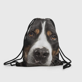 Рюкзак-мешок 3D с принтом Зенненхунд , 100% полиэстер | плотность ткани — 200 г/м2, размер — 35 х 45 см; лямки — толстые шнурки, застежка на шнуровке, без карманов и подкладки | большая собака | зенненхунд | пес | песик | сенбернар | собака | собаки