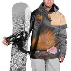 Накидка на куртку 3D с принтом Ротвейлер , 100% полиэстер |  | Тематика изображения на принте: большая | пес | песик | псина | ротвейлер | ротвейлеры | собака | собаки