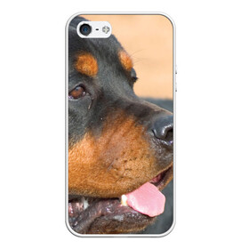 Чехол для iPhone 5/5S матовый с принтом Ротвейлер , Силикон | Область печати: задняя сторона чехла, без боковых панелей | большая | пес | песик | псина | ротвейлер | ротвейлеры | собака | собаки