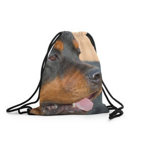 Рюкзак-мешок 3D с принтом Ротвейлер , 100% полиэстер | плотность ткани — 200 г/м2, размер — 35 х 45 см; лямки — толстые шнурки, застежка на шнуровке, без карманов и подкладки | большая | пес | песик | псина | ротвейлер | ротвейлеры | собака | собаки