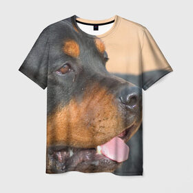 Мужская футболка 3D с принтом Ротвейлер , 100% полиэфир | прямой крой, круглый вырез горловины, длина до линии бедер | большая | пес | песик | псина | ротвейлер | ротвейлеры | собака | собаки