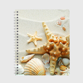 Тетрадь с принтом Морской пляж 5 , 100% бумага | 48 листов, плотность листов — 60 г/м2, плотность картонной обложки — 250 г/м2. Листы скреплены сбоку удобной пружинной спиралью. Уголки страниц и обложки скругленные. Цвет линий — светло-серый
 | море | морская звезда | песок | пляж | ракушки | туризм | турист
