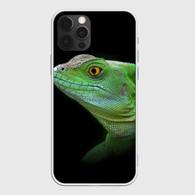Чехол для iPhone 12 Pro Max с принтом Рептилоид , Силикон |  | Тематика изображения на принте: о.м.с.к. | природа | ящерица